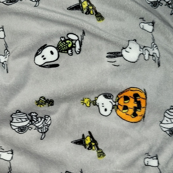 NWT | Berkshire Dog × Peanuts Fall Halloween Snoopy & Woodstock Pajamas | Large - Picture 8 of 8